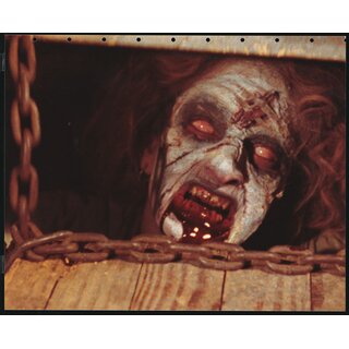 Evil Dead 1981 - Sciotti Artwork