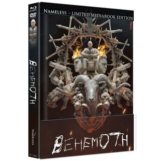 BEHEMOTH - COVER A - FEUER